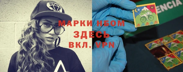 прущая мука Инсар