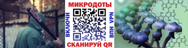 Купить Агрыз Галлюциногенные грибы мухоморы